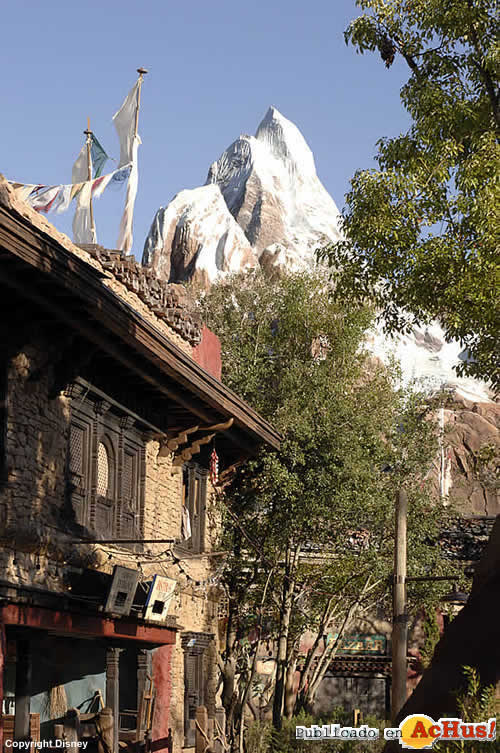 Imagen de Disney´s Animal Kingdom  Expedition Everest 9